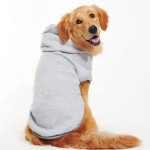Pet Hoodie Manufacturer - Custom Polyester Colorful Pet Clothing