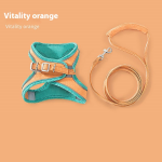 Pet Harness Manufacturer - OEM All-Season Padded Leash Set