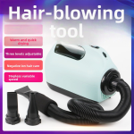 Pet Drying Box Factory - OEM High-Power Curly Tail Hair Dryer
