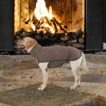 Pet Raincoat Supplier - Custom Winter Waterproof PU Reflective Coat