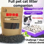 Cat Litter Factory - OEM Wholesale Scented Bentonite Clumping Litter