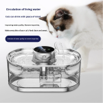 Pet Water Dispenser Manufacturer - OEM Large Capacity Stainless Steel
