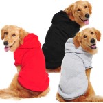 Pet Hoodie Manufacturer - Custom Polyester Colorful Pet Clothing