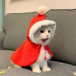 Christmas Pet Hats Manufacturer - OEM Custom Role-playing Costumes
