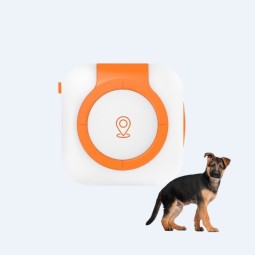 Pet Activity Monitor Manufacturer - OEM 4G Global Positioning Tracker