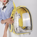 Pet Carrier Supplier - OEM Transparent Space Capsule Style Bag