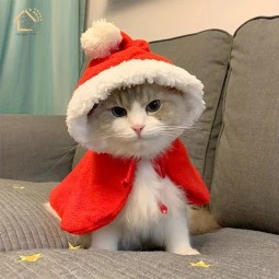 Christmas Pet Hats Manufacturer - OEM Custom Role-playing Costumes