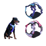 Pet Harness Factory - Custom Reflective Nylon Chest Back Leash