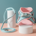 Pet Harness Manufacturer - OEM All-Season Padded Leash Set