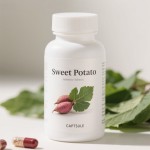 Sweet Potato Leaves Capsules Manufacturer - OEM Organic Chlorogenic Acid