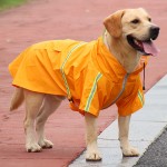 狗雨衣源头工厂-热销可定制PU狗雨衣防水夹克可爱动物印花中至XXL号宠物春季用