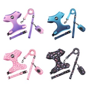 Dog Leash Supplier - Factory Wholesale Luxury Custom Puppy Leash Dog Collar Harness Set Adjustable Polyester