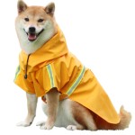 狗雨衣源头工厂-热销可定制PU狗雨衣防水夹克可爱动物印花中至XXL号宠物春季用