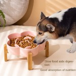 Pet Bowl Manufacturer - Ceramic Slow Food Pet Bowl Medium Large Pets Eco-Friendly Wooden Rack