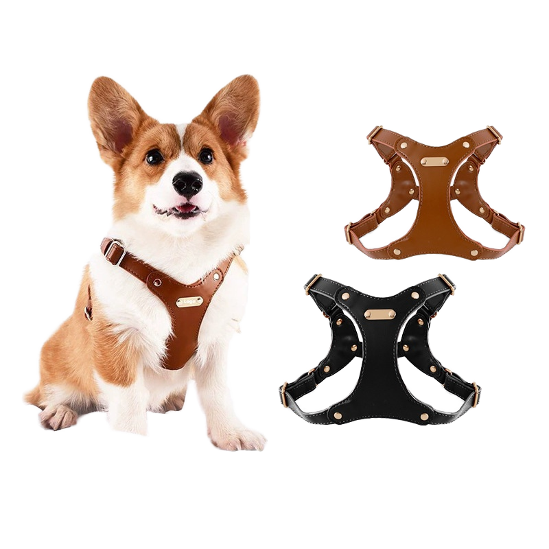 Dog Chest Strap Manufacturer - Dog Walking Leash Soft Leather Chest Strap Small Medium Dogs Fashionable Solid