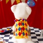 宠物毛衣供应商-秋冬疯狂马戏团针织棋盘格毛衣小型犬用InTEDDY设计棉质服装