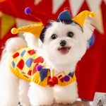 宠物毛衣供应商-秋冬疯狂马戏团针织棋盘格毛衣小型犬用InTEDDY设计棉质服装