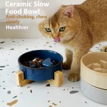Pet Bowl Manufacturer - 2025 Hot Sale Eco-Friendly Ceramic Pet Bowl Kiln-Changed Anti-Choking Slow Food