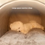 宠物舍生产厂家-秋冬四季猫狗舍带实心图案冬季垫温暖可拆床泡沫纸箱包装宠物用品