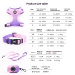 Dog Leash Supplier - Factory Wholesale Luxury Custom Puppy Leash Dog Collar Harness Set Adjustable Polyester