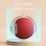 宠物玩具生产厂家-USB可充电硅胶耐咬球宠物智能互动运动玩具趣味小尺寸供应儿童猫狗