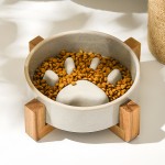Pet Bowl Manufacturer - 2025 Hot Sale Eco-Friendly Ceramic Pet Bowl Kiln-Changed Anti-Choking Slow Food