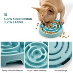 Pet Bowl Supplier - 2025 Hot Selling Eco-Friendly Solid Pattern Anti-Choking Plastic Pet Supplies