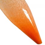 Brine Shrimp Eggs Manufacturer - Bohai Bay Artemia High Quality Dry Brine Shrimp Eggs High Hatchable