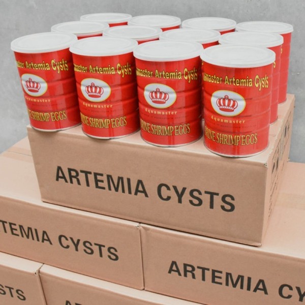 Artemia Eggs Supplier - Artemia High Quality Dry Brine Shrimp Eggs High Hatchable for Aquaculture