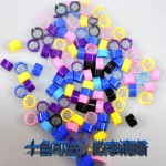 Pigeon Ring Factory - Digital Identification Ring Open Pigeon Feet Ring for Bird Identification