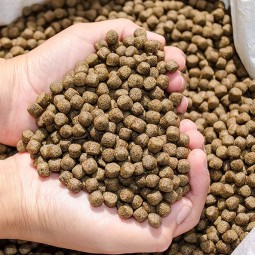 金鱼食品生产厂家-批发热带金鱼水族馆颗粒鱼饲料锦鲤鱼食观赏鱼饲料