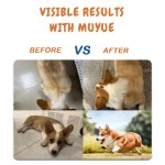 Pet Vitamin Bottle Supplier - OEM Liquid Compound Tablets Eye Drops