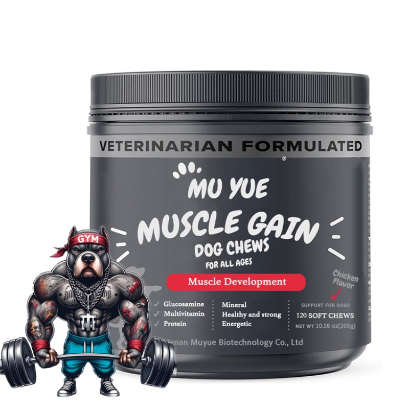 Dog Protein Powder Supplier - OEM Training Recovery Muscle Gain Boost