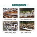Premix Chicken Feed Manufacturer - OEM Layer Broiler Gut Microbiota