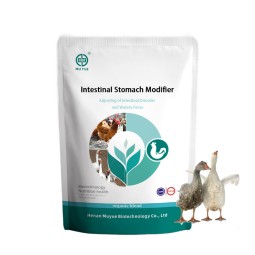 Premix Chicken Feed Manufacturer - OEM Layer Broiler Gut Microbiota