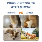 Dog Joint Supplement Supplier - OEM Glucosamine Chondroitin MSM Chews