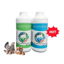 Vitamin Premix Liquid Manufacturer - OEM Multivitamin AD3E Oil Solution