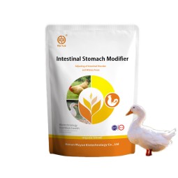 Piglet Probiotics Powder Manufacturer - OEM Intestinal Digestion Care