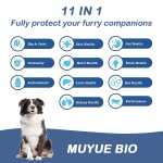 Dog Joint Supplement Supplier - OEM Glucosamine Chondroitin MSM Chews