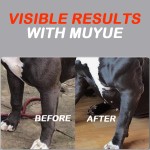 Pet Supplement Powder Manufacturer - OEM Turkey Tuna Chicken Muscle Gain