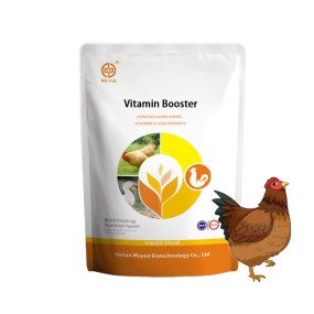 Animal Multivitamin Powder Supplier - OEM Broiler Chicken Weight Gain