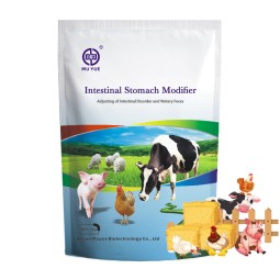 Chicken Layer Premix Factory - OEM Broiler Growth Gut Microbiota