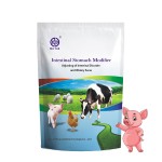 Pig Growth Additive Supplier - OEM Health Effectively Improve Immunity