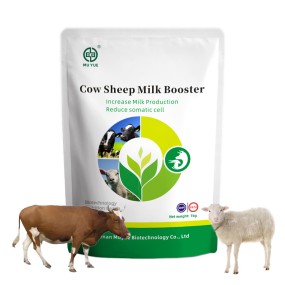 Cow Milk Enhancer Manufacturer - OEM Complete Feed Vitamin Additive
