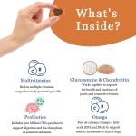 Pet Vitamin Gel Factory - Custom Private Label Liquid Supplement Bottle