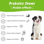 Pet Probiotic Chews Manufacturer - Custom Gut Health Azotemia Control