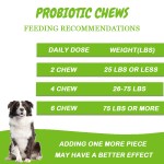 Pet Probiotic Chews Manufacturer - Custom Gut Health Azotemia Control
