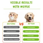 Cat Probiotics Powder Supplier - Custom Digestive Immune Gut Health