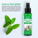Pet Flea Spray Manufacturer - OEM Natural Pet Flea Tick Remove Spray Non-toxic Dog Cat Skin Care