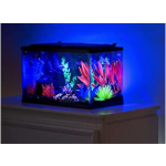 Aquarium Gravel Manufacturer - High Quality Ada Soil Natural Aquarium Gravel Pink Green Blue Colors